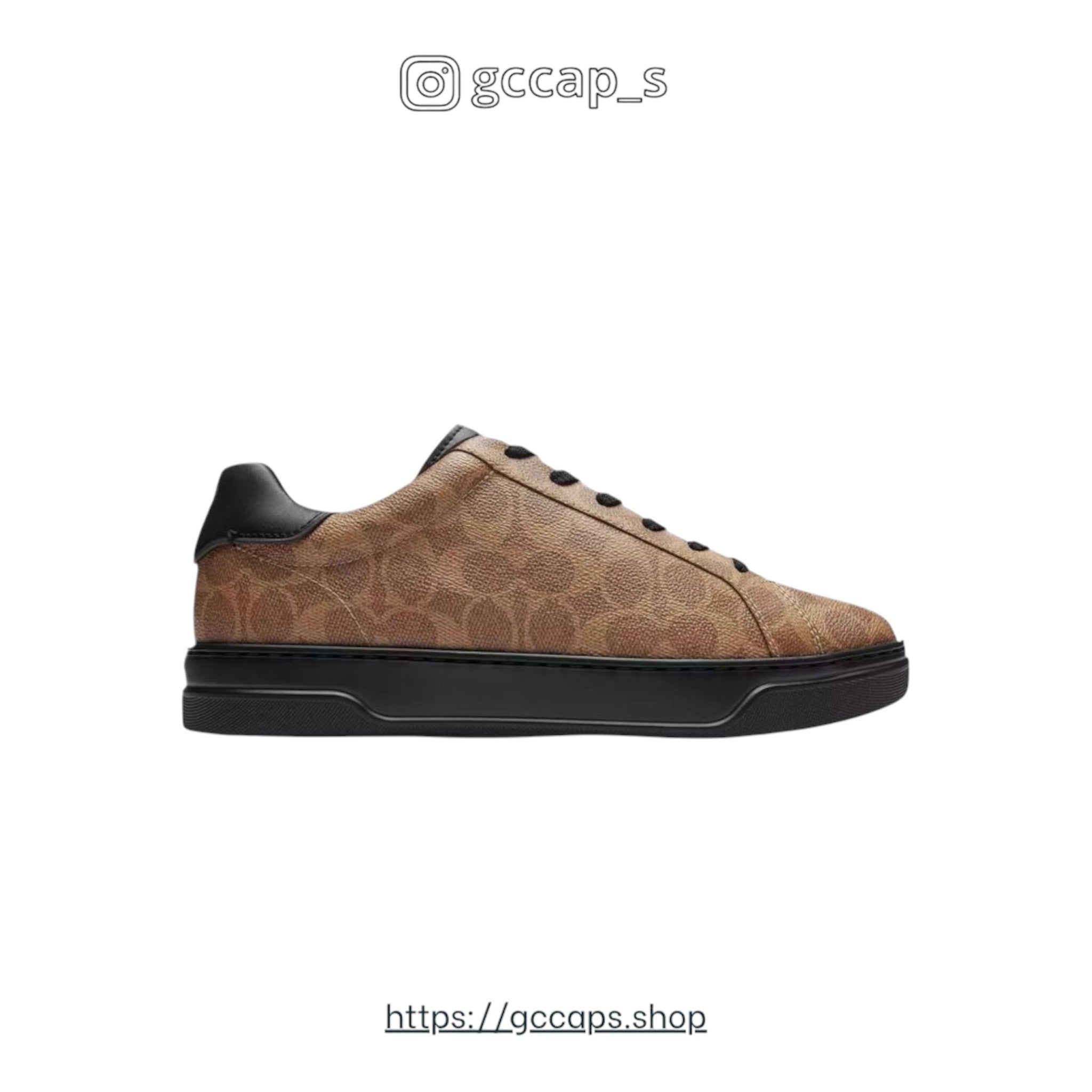 COACH HIGH LINE