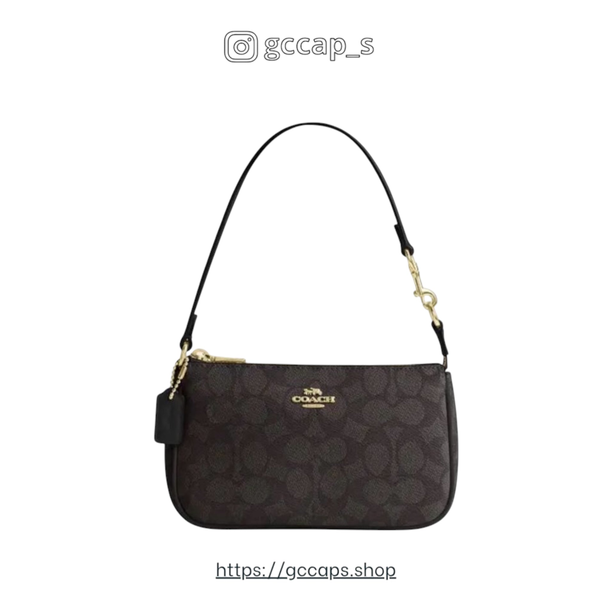 BOLSO COACH